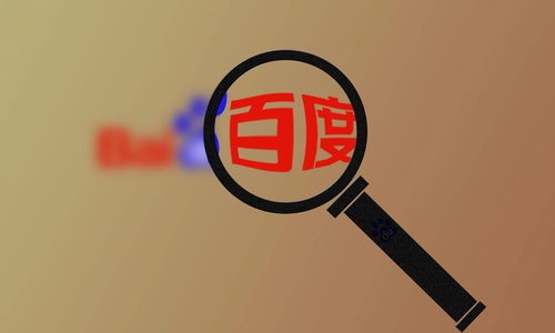 千站云蜘蛛池